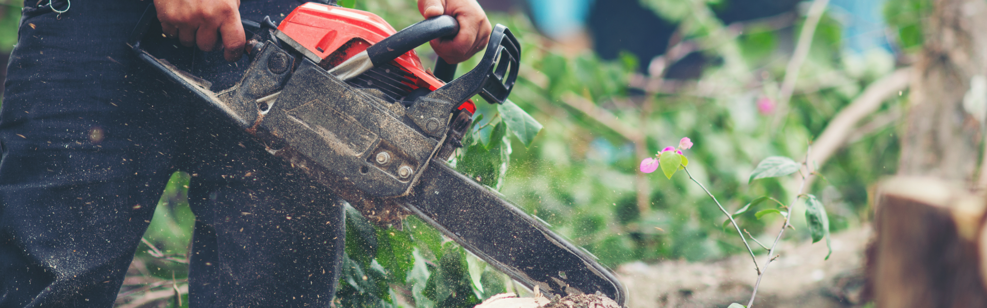 Man with the chain saw in the forest